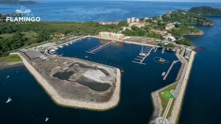 Marina Flamingo Construction Update January 2021