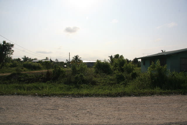 Large construction-ready residential lot in Ladyville