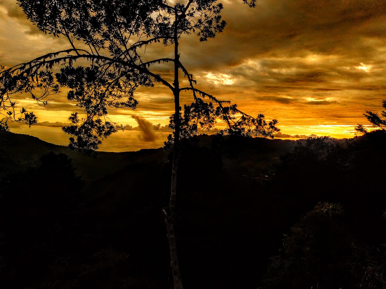 The Last of Its Kind Property in San Luis de Morete, Over 1.53 Acres