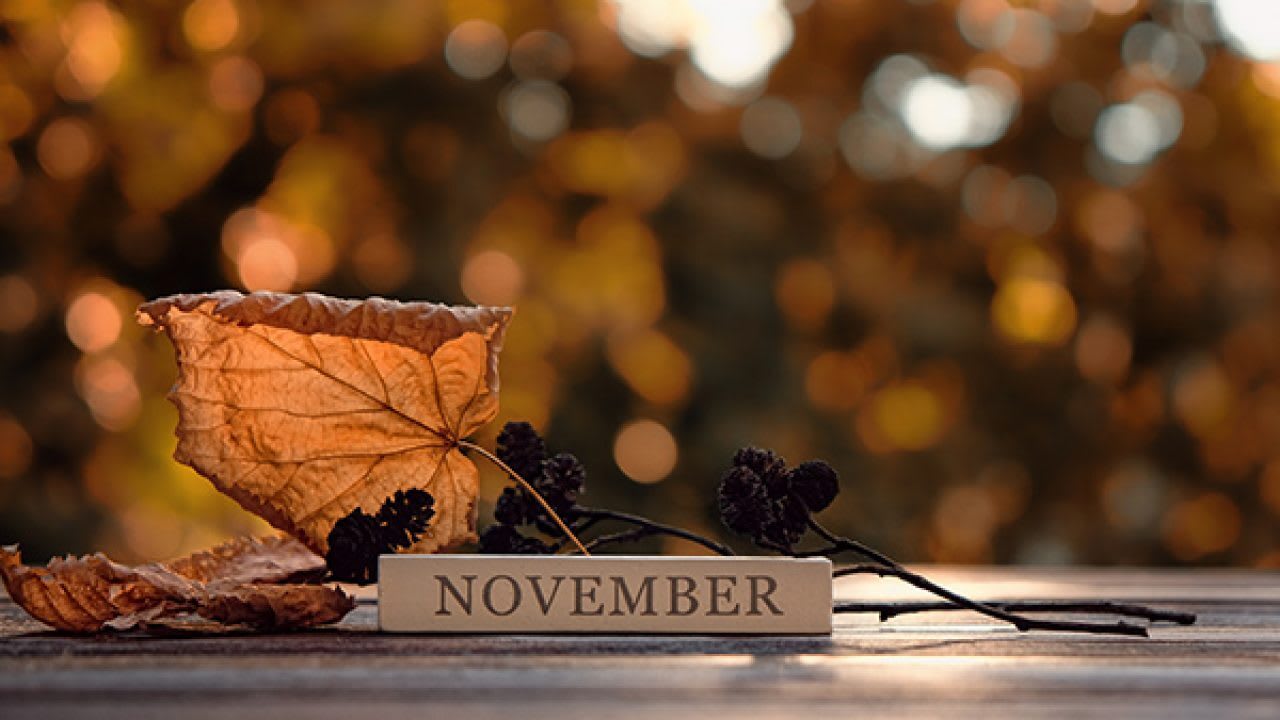 November Calendar