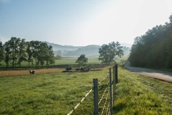 The Transition: Urban to Rural Living – Part 2