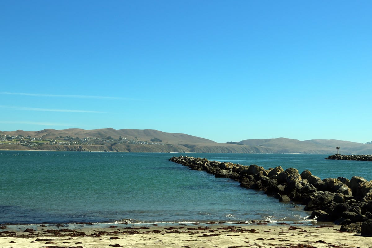 Bodega Bay