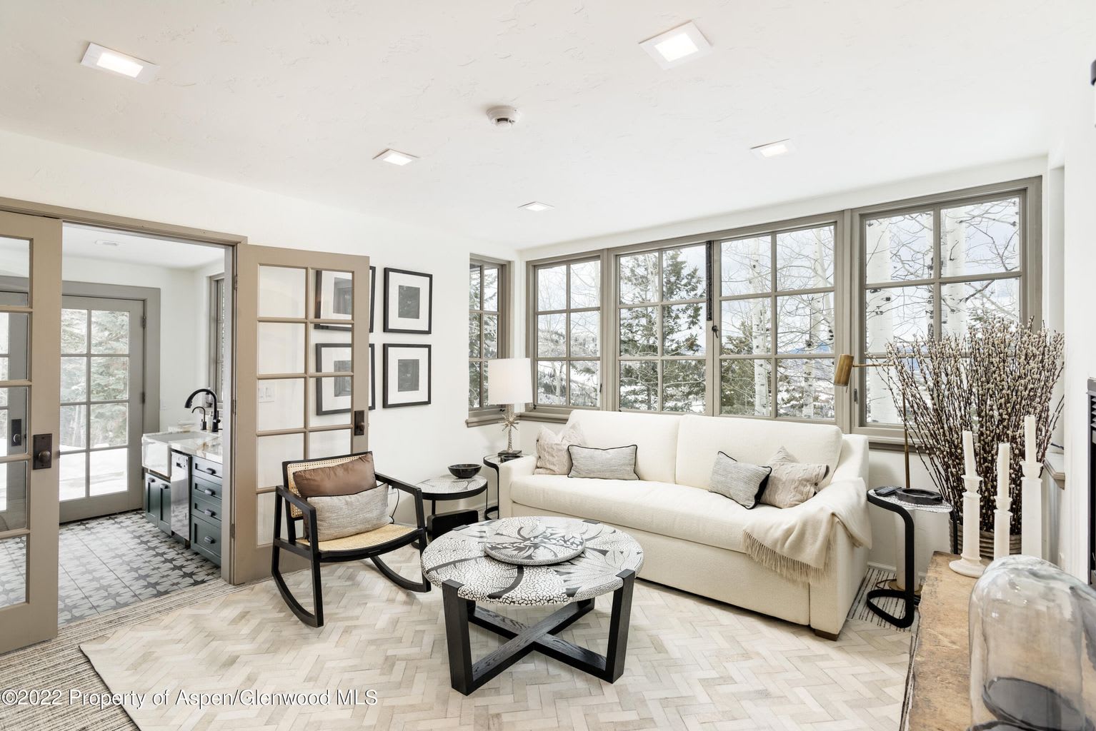 983 Moore Drive Aspen, CO 81611