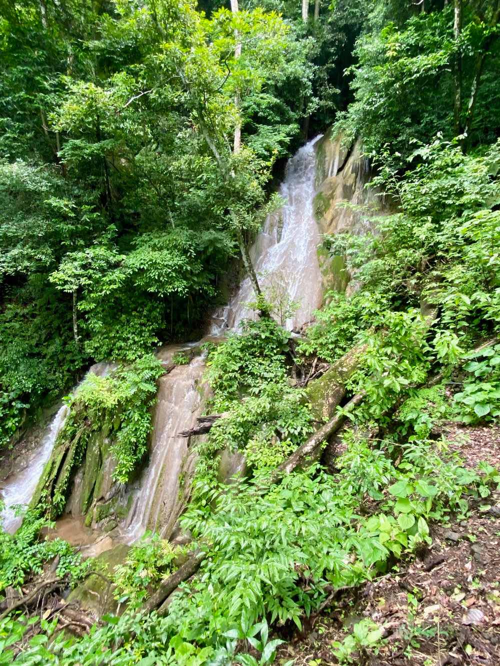 Natureza Viva