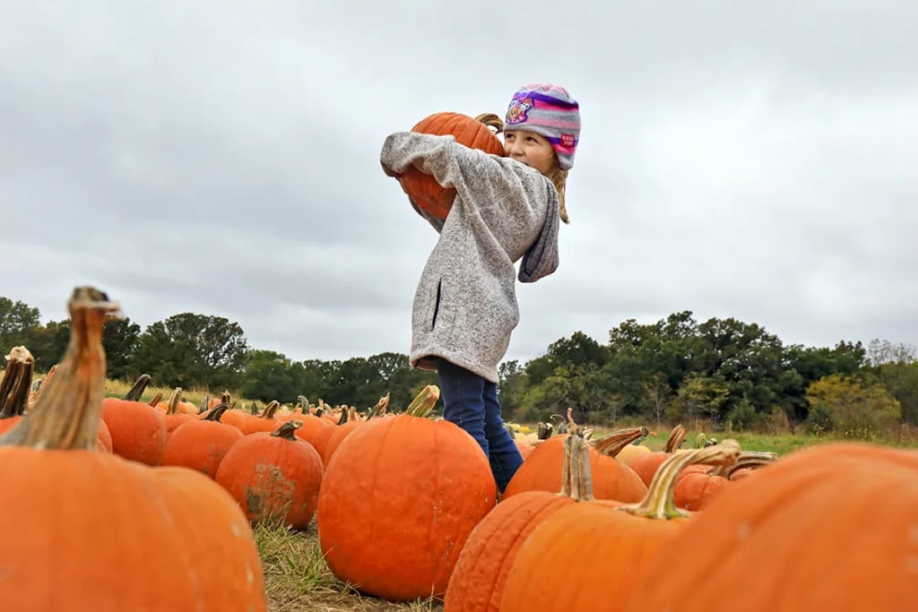 Make family memories in Rolla this fall