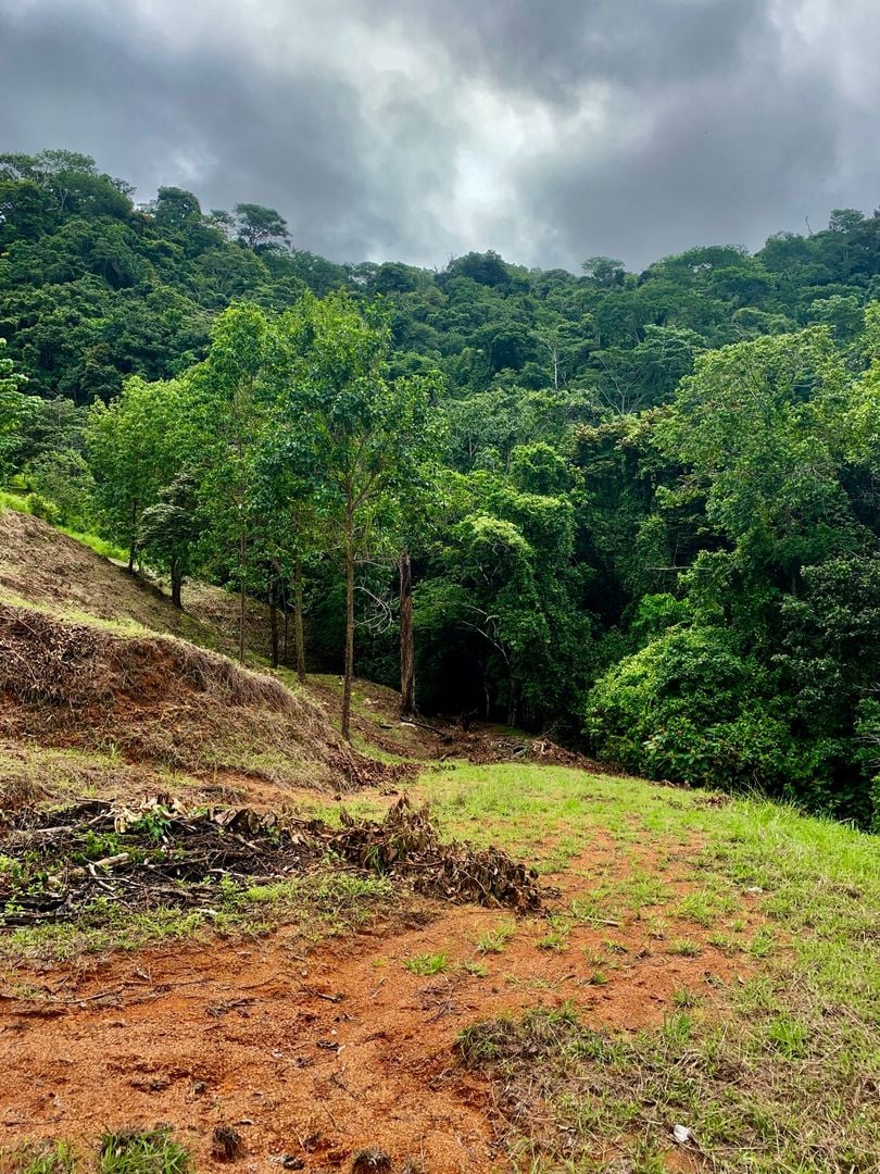 Triple Waterfall Ocean View Land, Dominical, Puntarenas