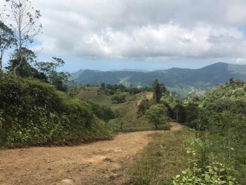 Spring Fed Ocean View Acreage, Uvita, Puntarenas