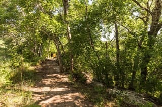 5221 Buchanan Draw Rd, Austin, Texas 78738