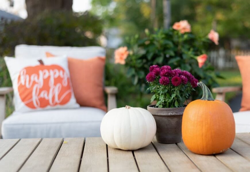 6 Inexpensive Ways to Elevate Your Backyard This Fall