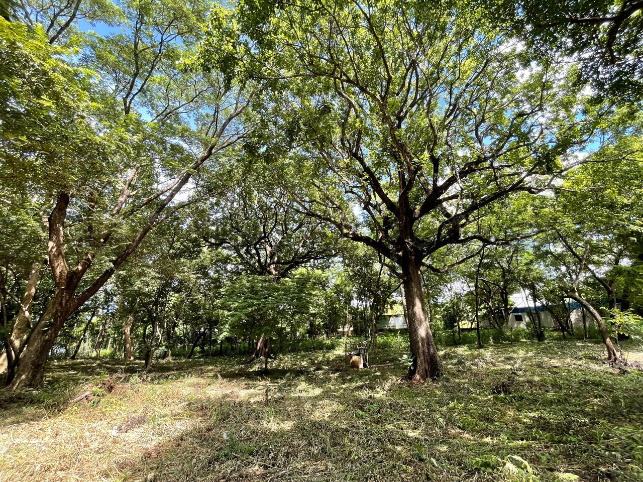 Beachfront Development Land, Tamarindo, Guanacaste