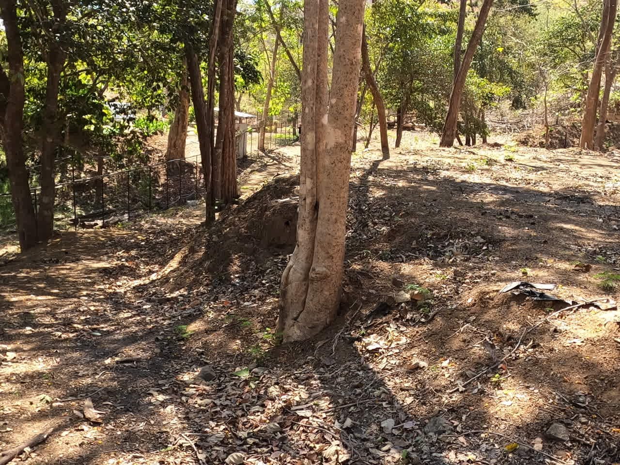 Land of your dreams | Large Lot with 2 Road Accesses