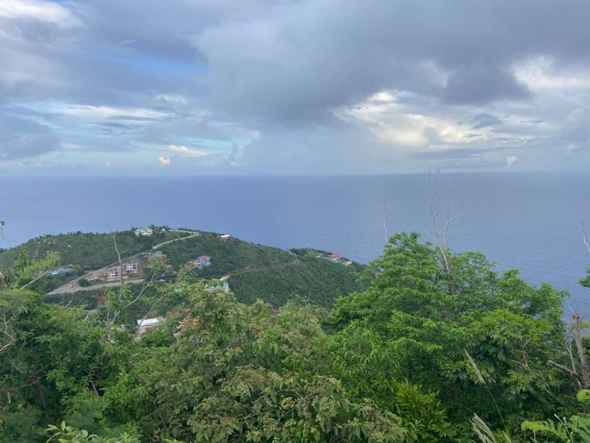 162 1.1 Acre in Hope Estate