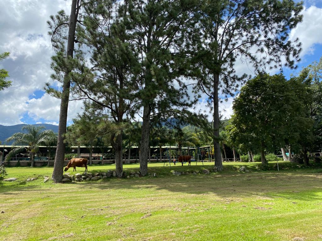 Flat Gated Community Lot, Santa Ana, San Jose