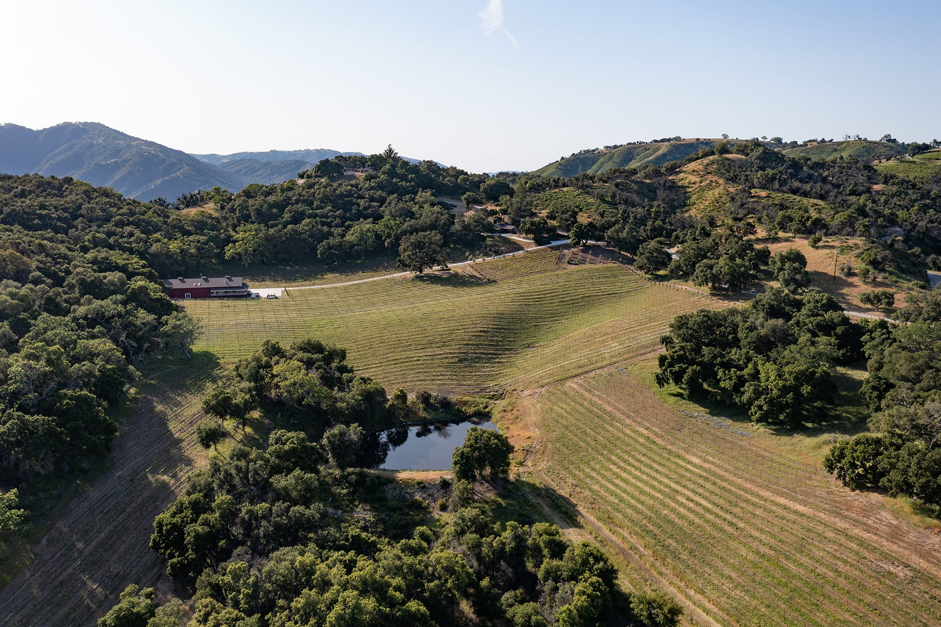 Wine Country Perfection - 17380 Cachagua Road