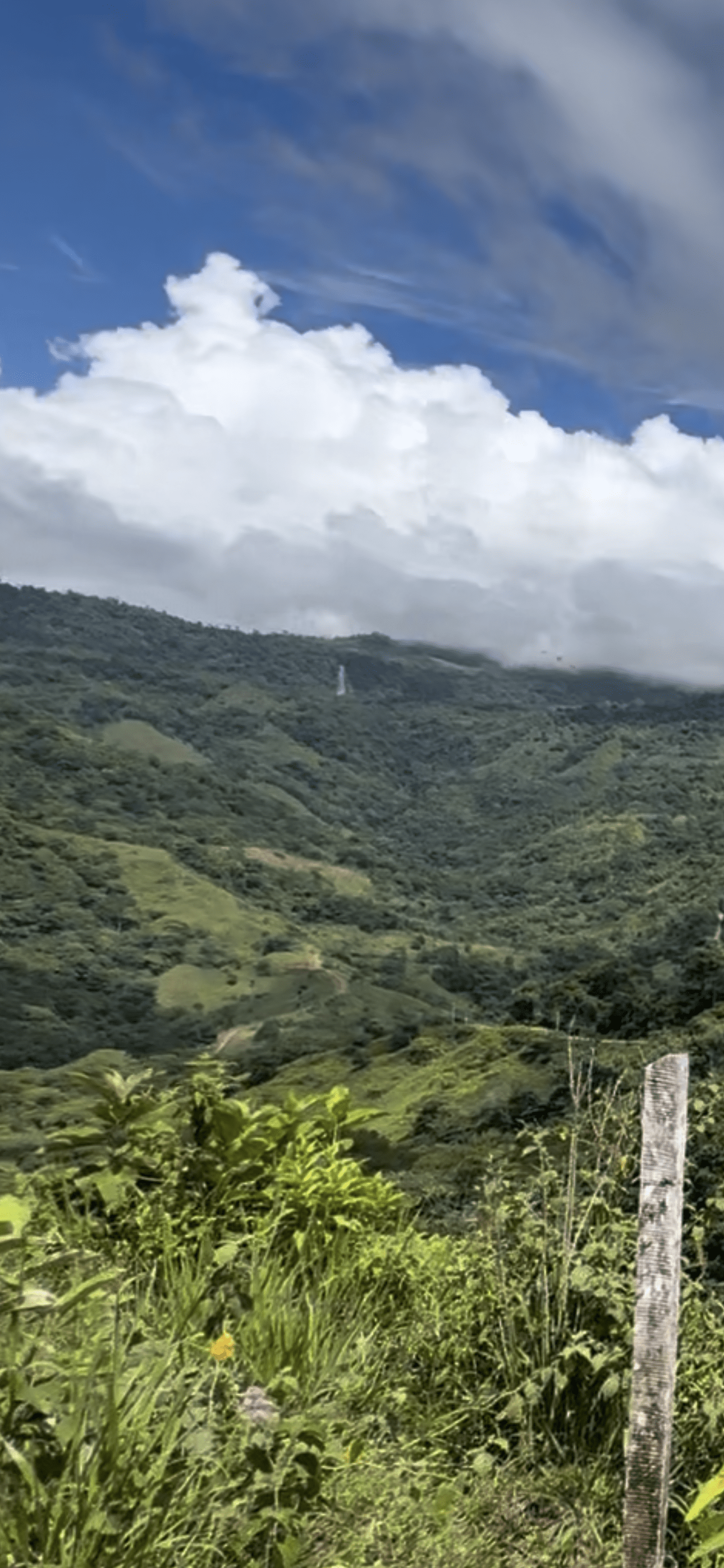 San Josecito Farm Above Uvita, 4 Acres, Creek and Usable Land