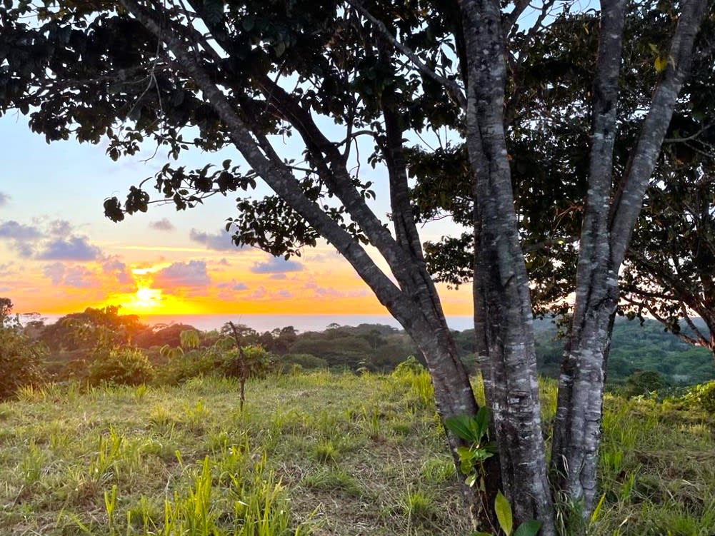 3.41 Acres, Ocean View Property In Finca Maranon With Legal Water! Ojochal 