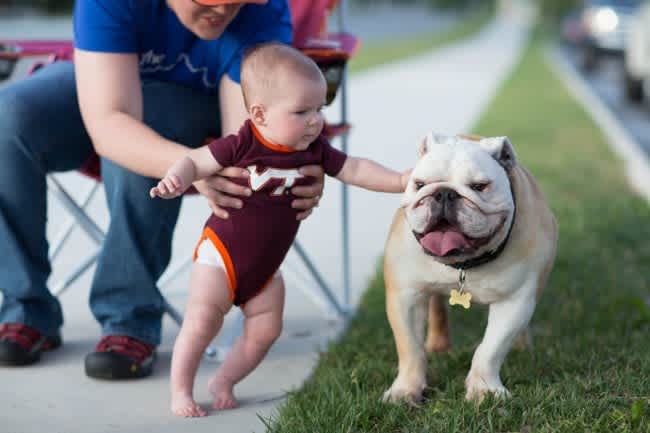 Tailgate