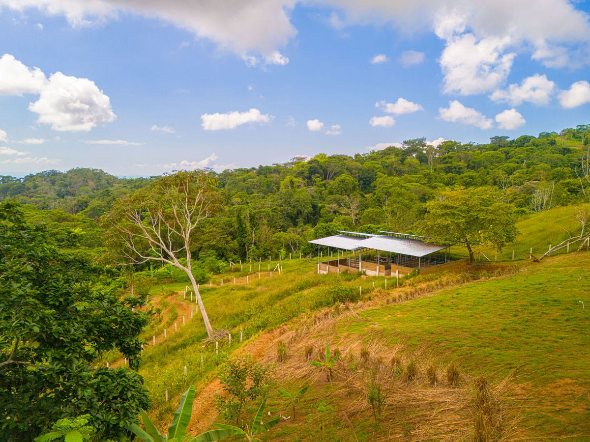 Oceanview Homestead for Sale, Tres Rios, Costa Rica