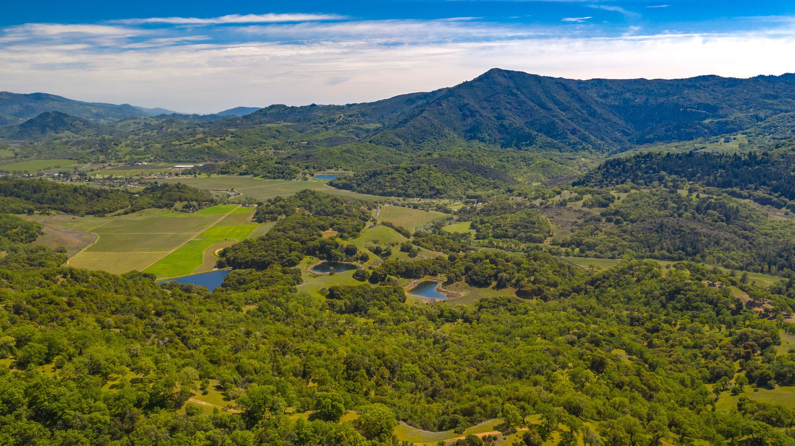 2800 Feliz Creek Rd.