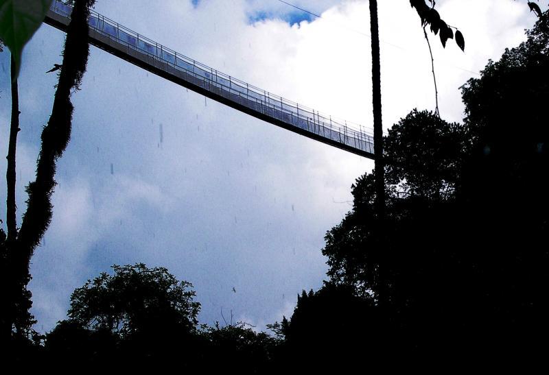 Rainforest Nature Reserve, Manuel Antonio, San Jose