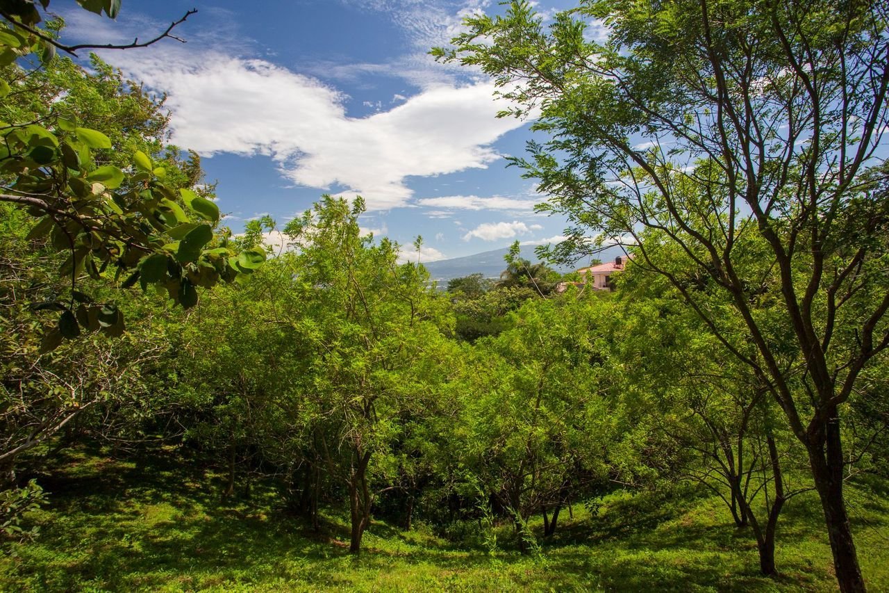Above The Rest, Ciudad Colon, San Jose