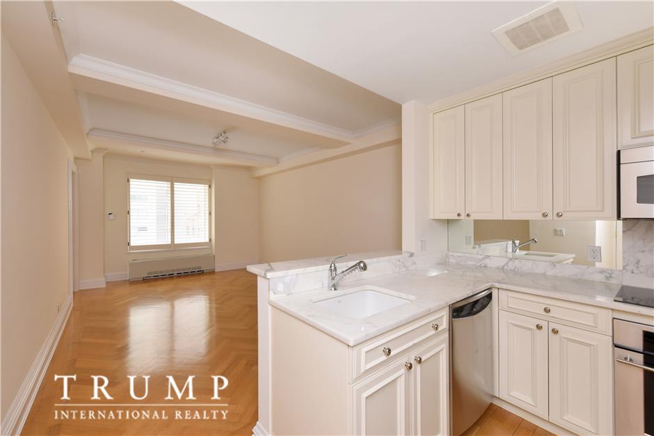 502 Park Ave, #16A