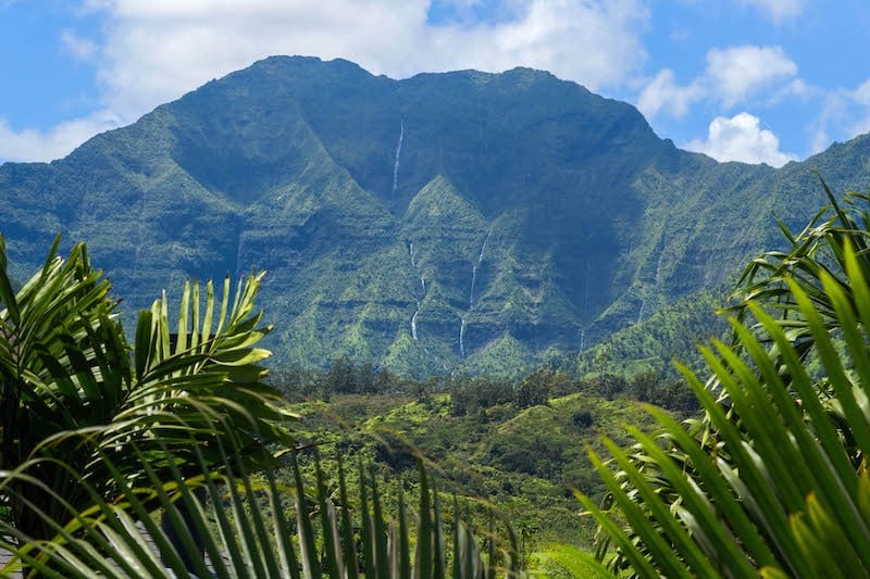Our Favorite Winter Activities on Kauai's North Shore