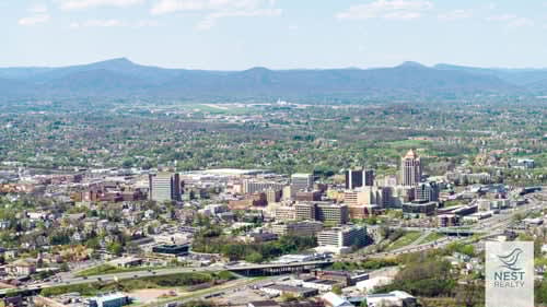 Nesty Zoom Backgrounds