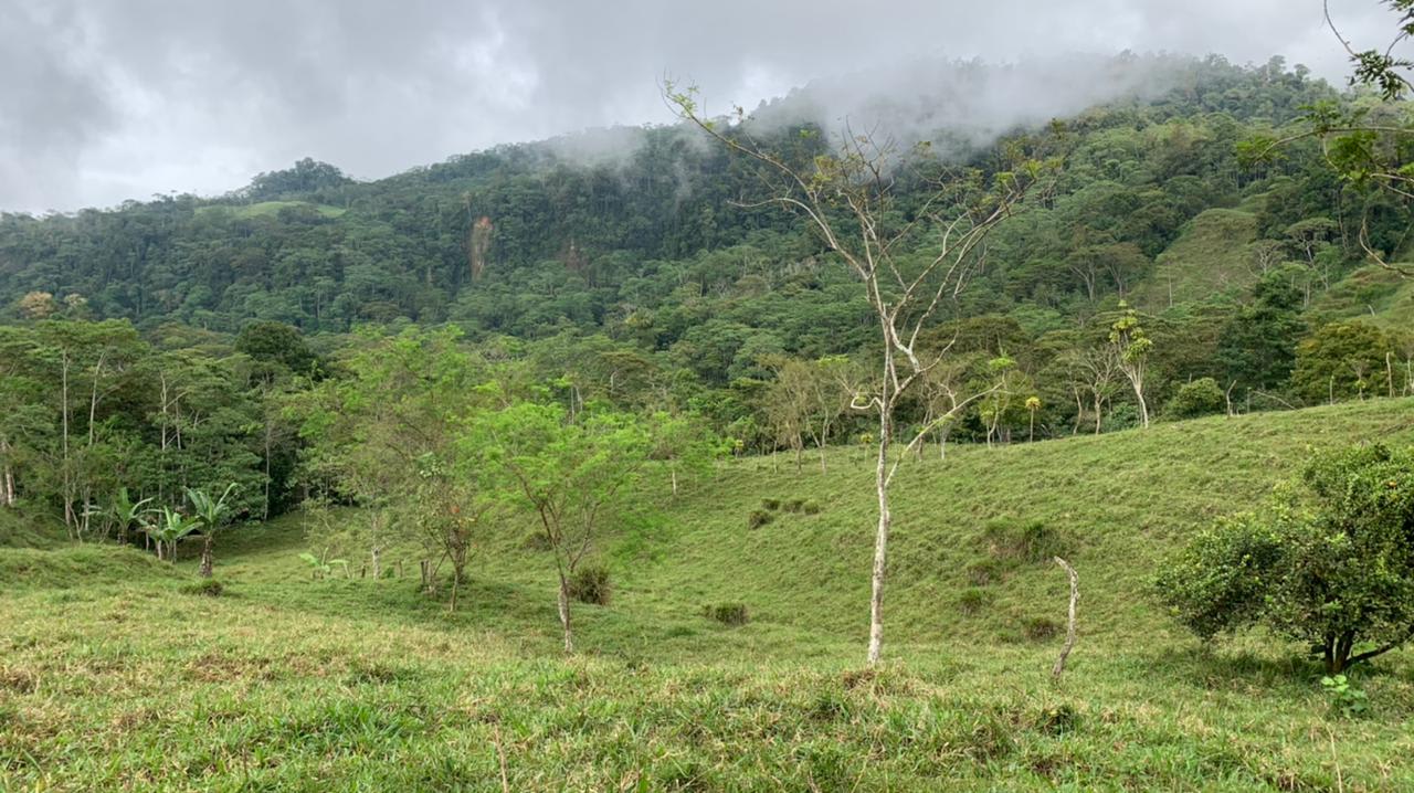 Waterfall View Farm On 80% Usable Land In Uvita