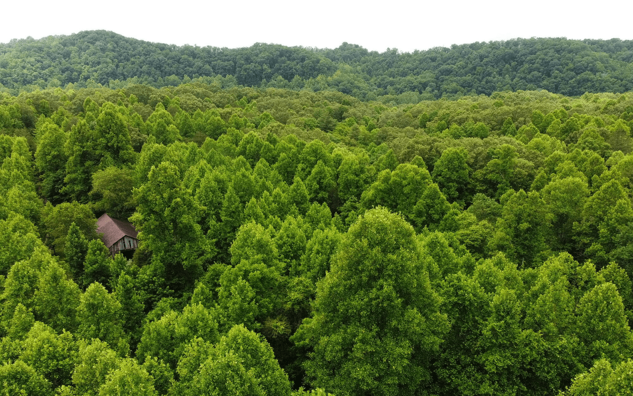 Navigating the Path to Land Ownership