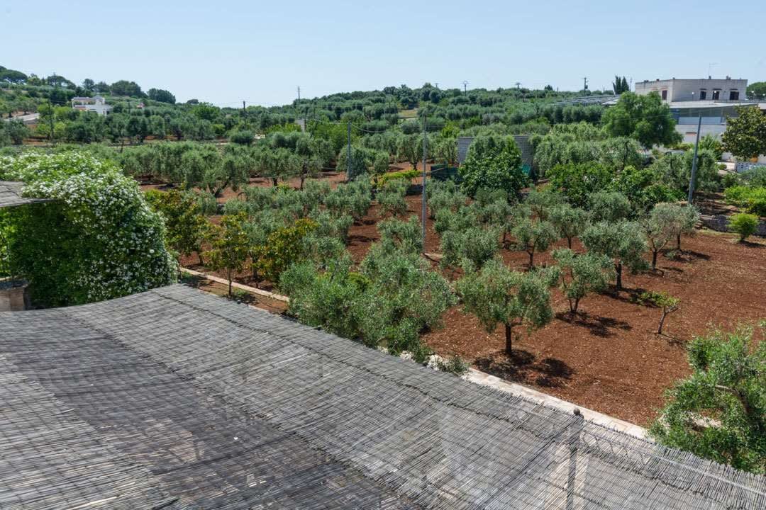 Ostuni Ostuni