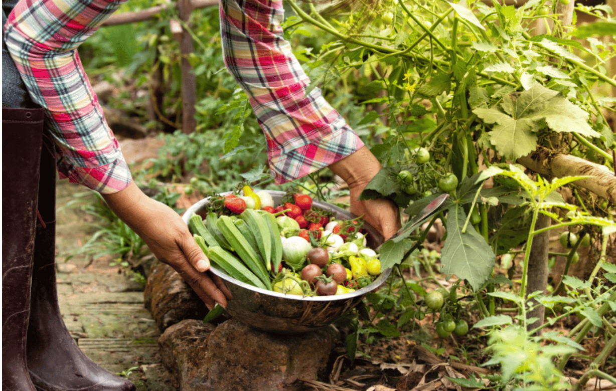 Fall Into Focus: How to Reset This Fall & Close the Year Strong!