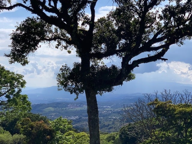 Vast Mountain Farm Acreage, Heredia