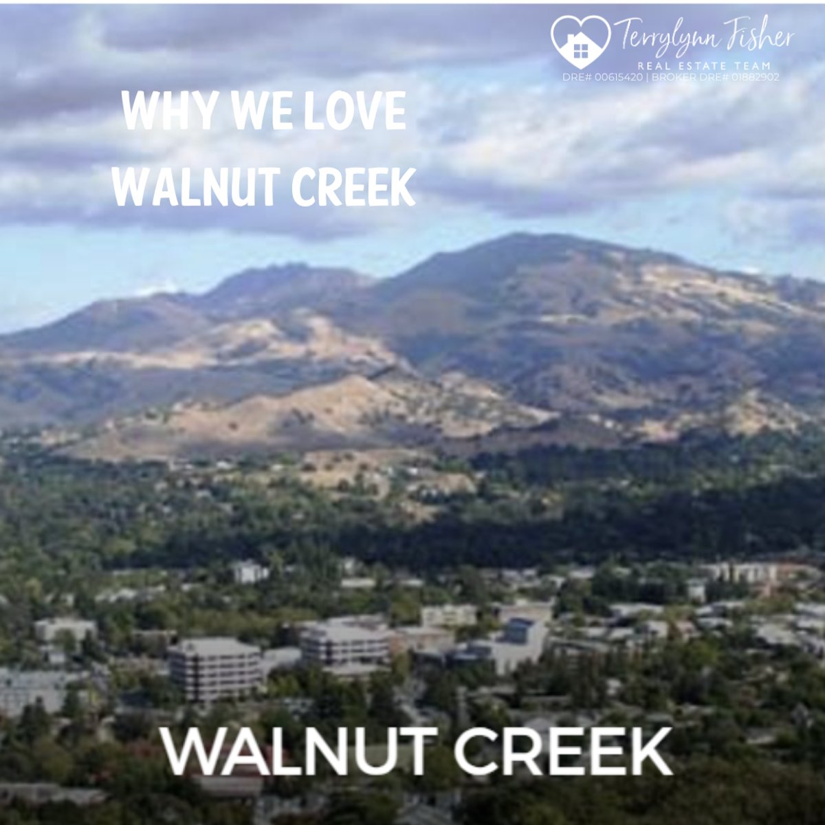 Why We Love Walnut Creek