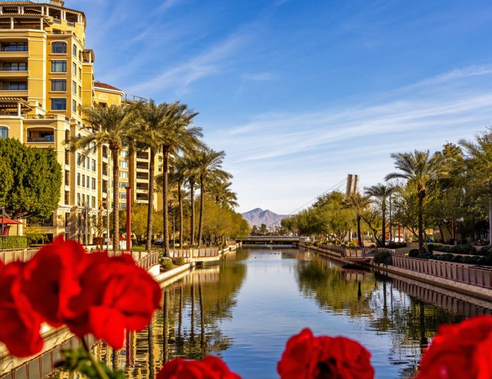 Luxury Real Estate in Phoenix: Every Story, Comp, and Neighborhood Guide We've Covered