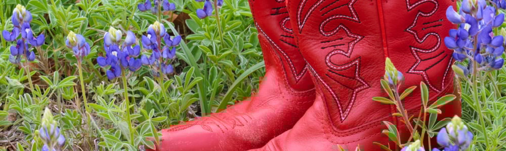 Bluebonnet Central: In and Around Austin, TX