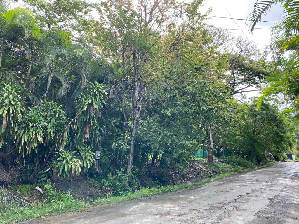 Oceanfront Development Parcel, Santa Teresa, Puntarenas