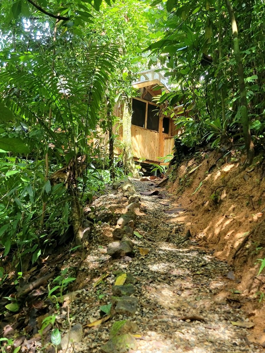 Sustainable Community House, Osa, Puntarenas