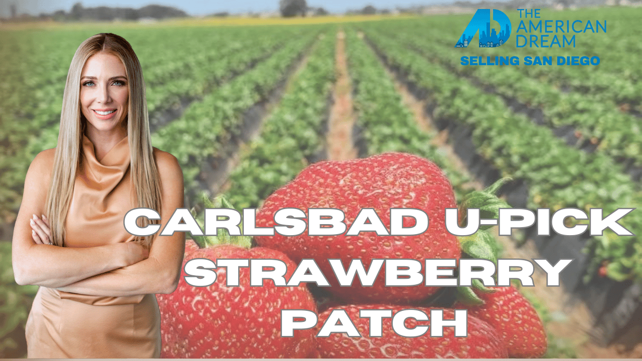 Episode 4: Carlsbad Strawberry Company