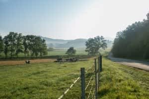 The Transition: Urban to Rural Living – Part 2