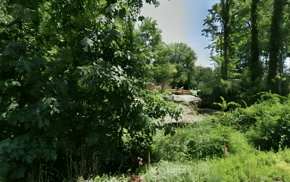 431 Poplar Leaf DRIVE