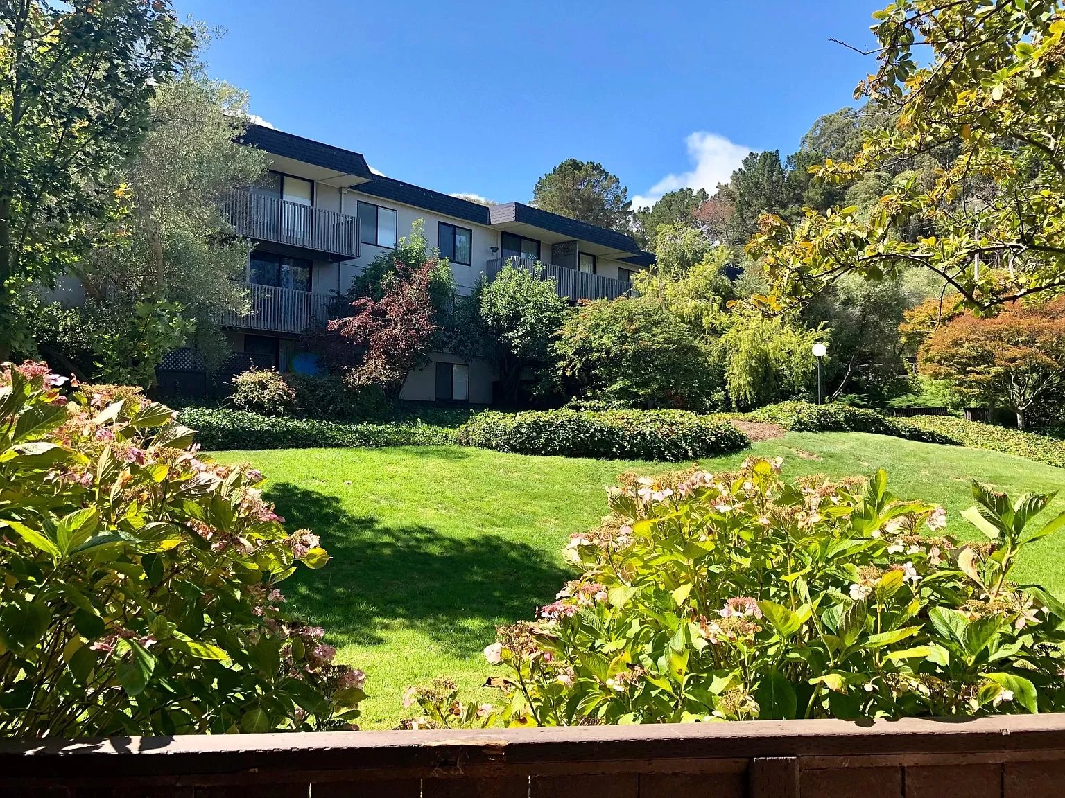 2155 Shelter Creek Ln #2155