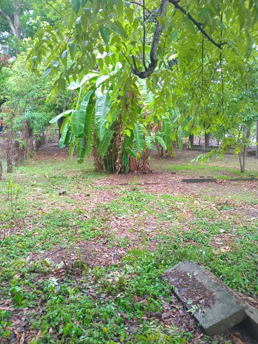 Mixed Use Development Lot, Papagayo, Guanacaste