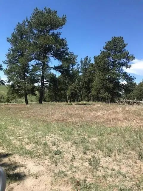 10560 Shadow Pines Rd
