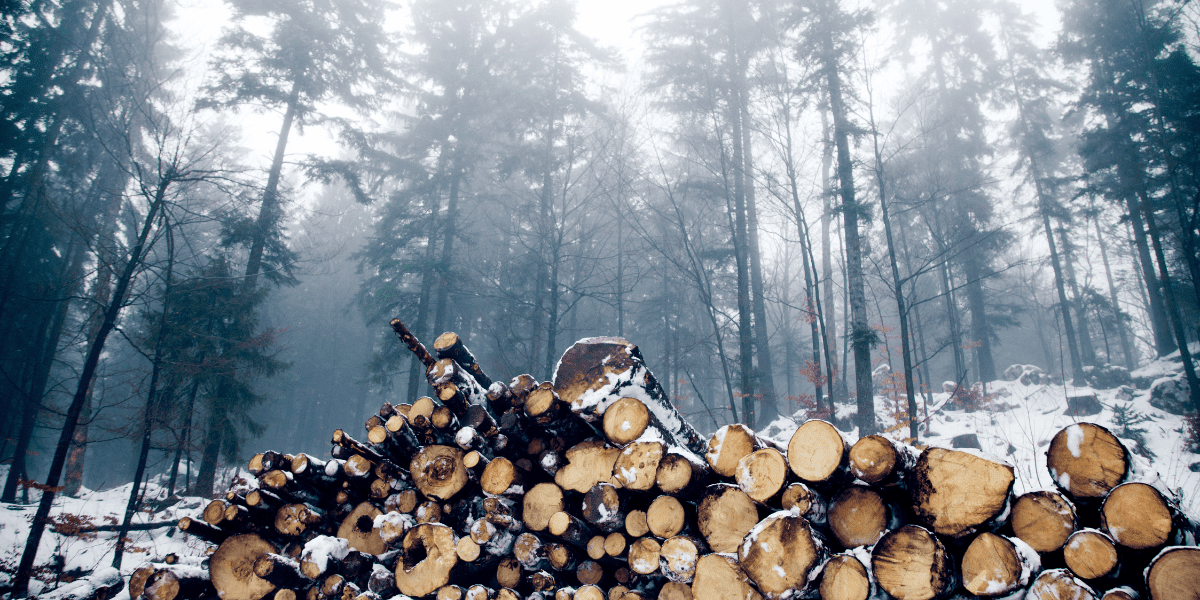 This Insane Swedish Treehouse Is Made of 350 Bird Houses—And It’s a New Hotel