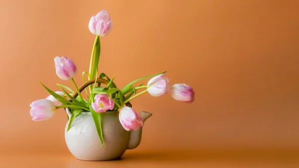 March Newsletter