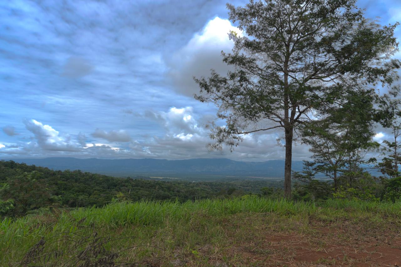 Sierpe Sunset and Jungle Views, 10 Acre Property, OSA!