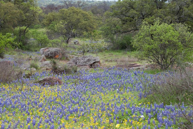 Llano Granite Ranch