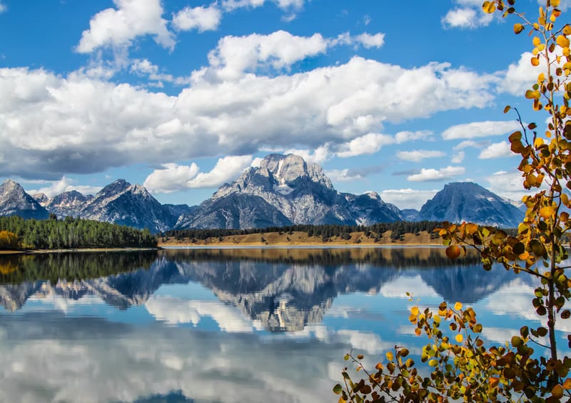 8 Jackson Hole Experiences You Won't Find Anywhere Else