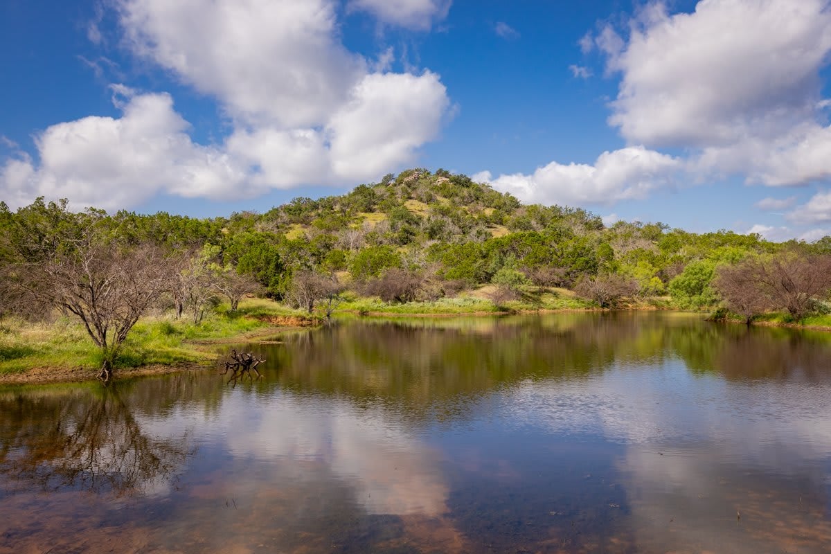 Packsaddle Ranch